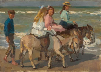 Donkey riding
